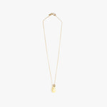 Dinosaur Designs Joie De Vivre Pendant Necklaces in Lemon color resin with Gold-Filled Material