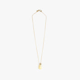 Dinosaur Designs Joie De Vivre Pendant Necklaces in Lemon color resin with Gold-Filled Material