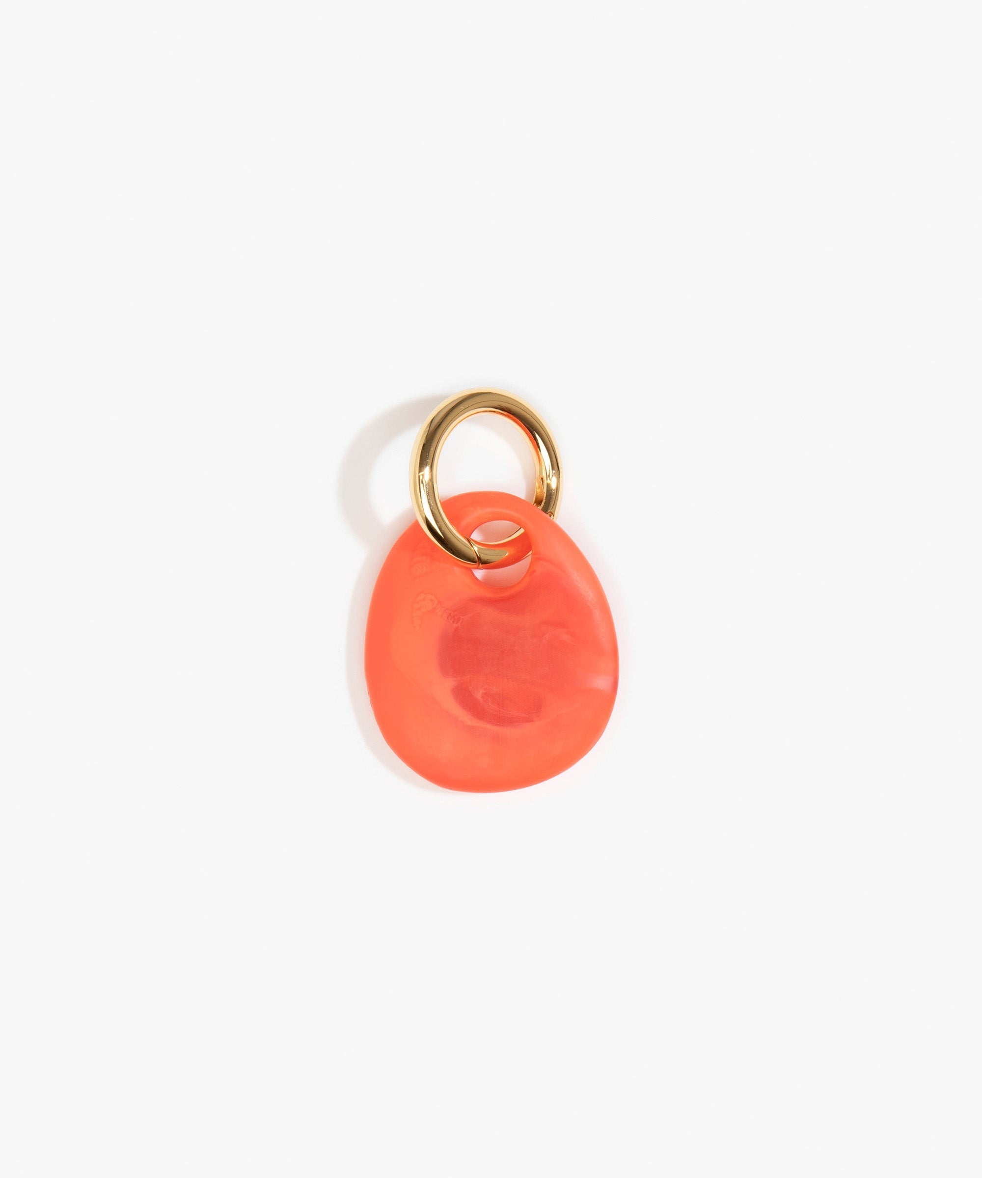 Dinosaur Designs Earth Keyring Keychains in Lychee Colour resin with Brass Metal