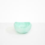 Dinosaur Designs Large Beetle Bowl Bowls in Mint color resin