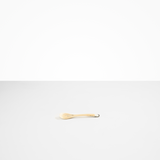 Shell Spoon