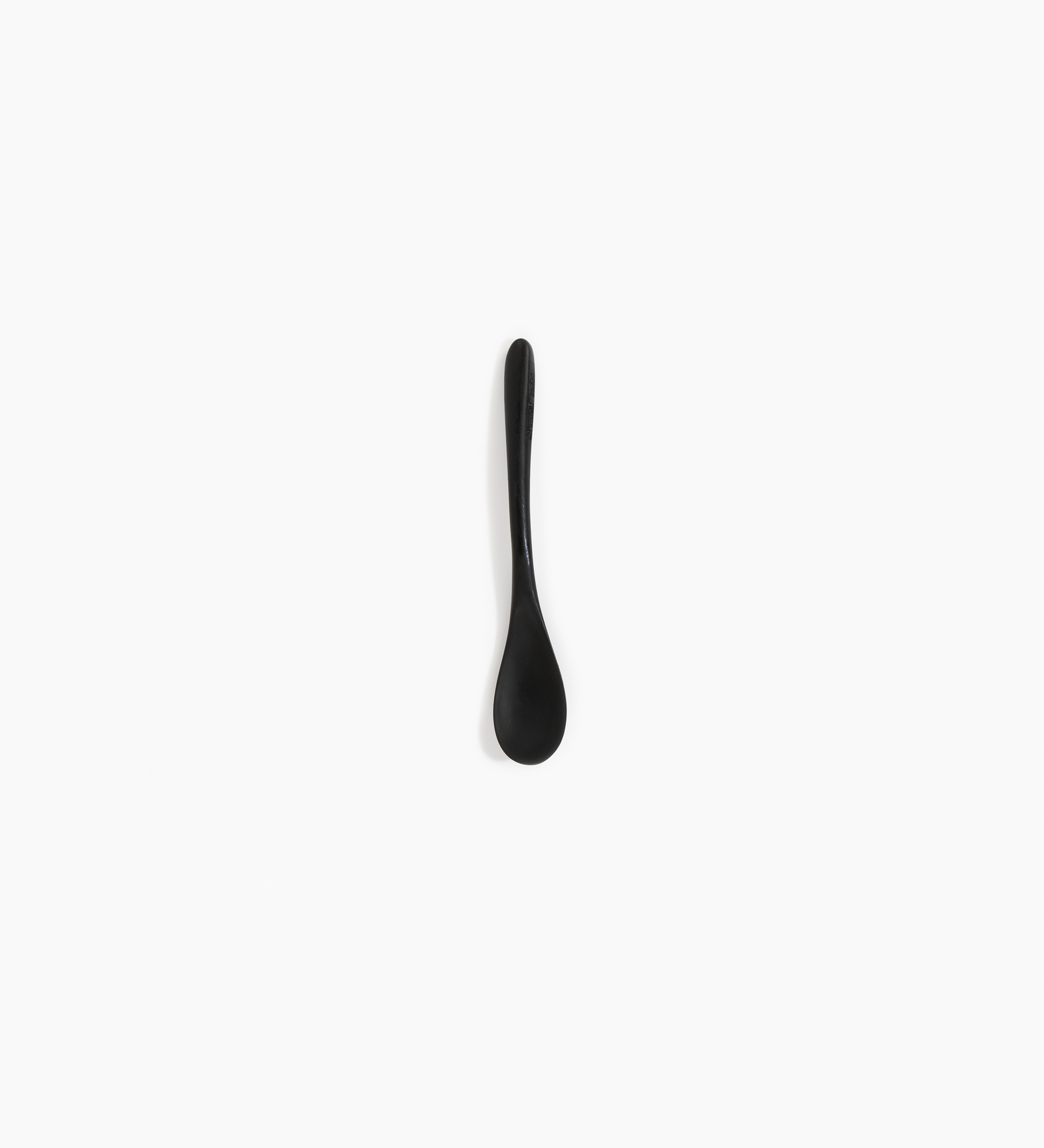 Dinosaur Designs Shell Spoon Tableware in Black color resin 