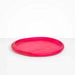 Dinosaur Designs Rock Tray Serving Trays in Flamingo Colour resin