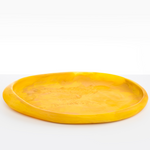 Dinosaur Designs Rock Tray Serving Trays in Honeycomb color resin