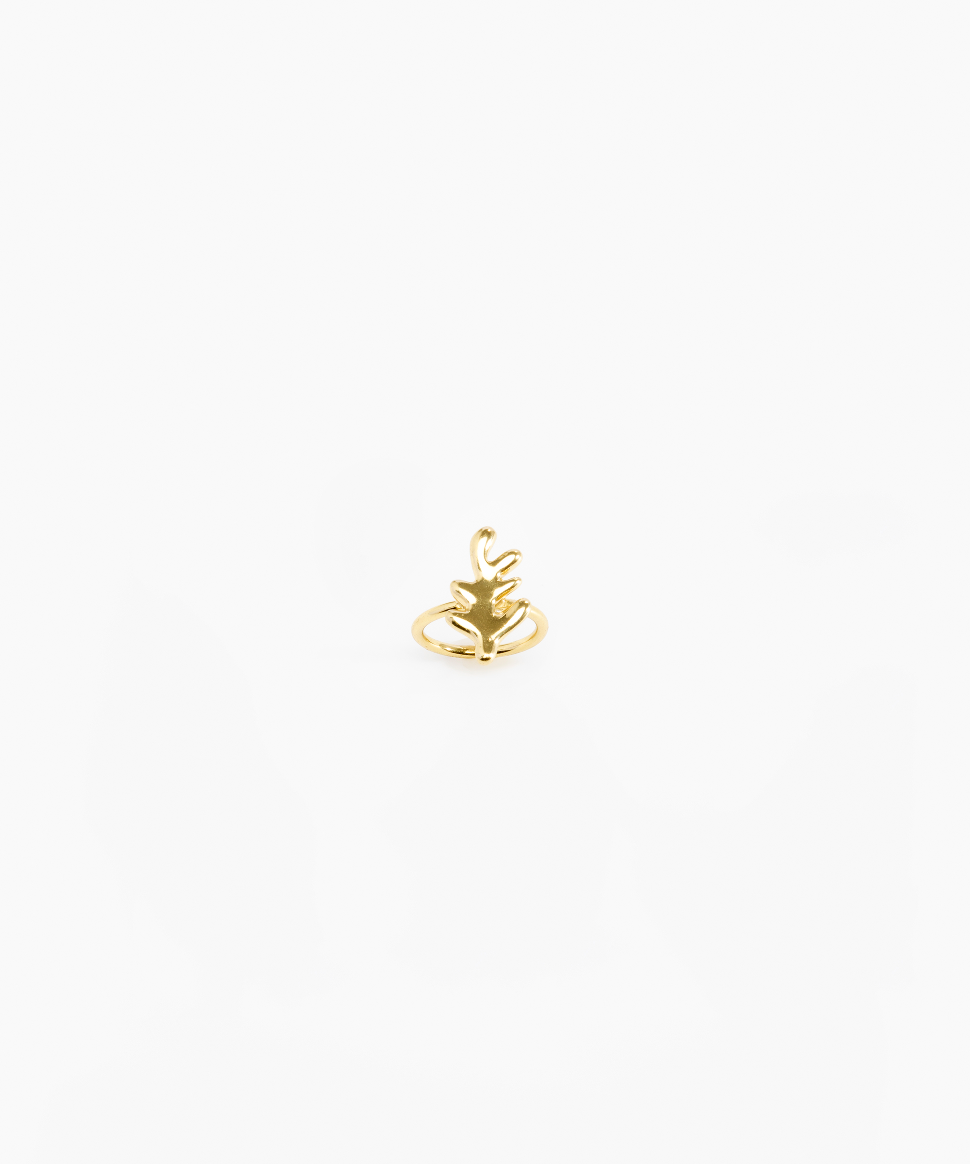 Leaf Ring | Dinosaur Designs US