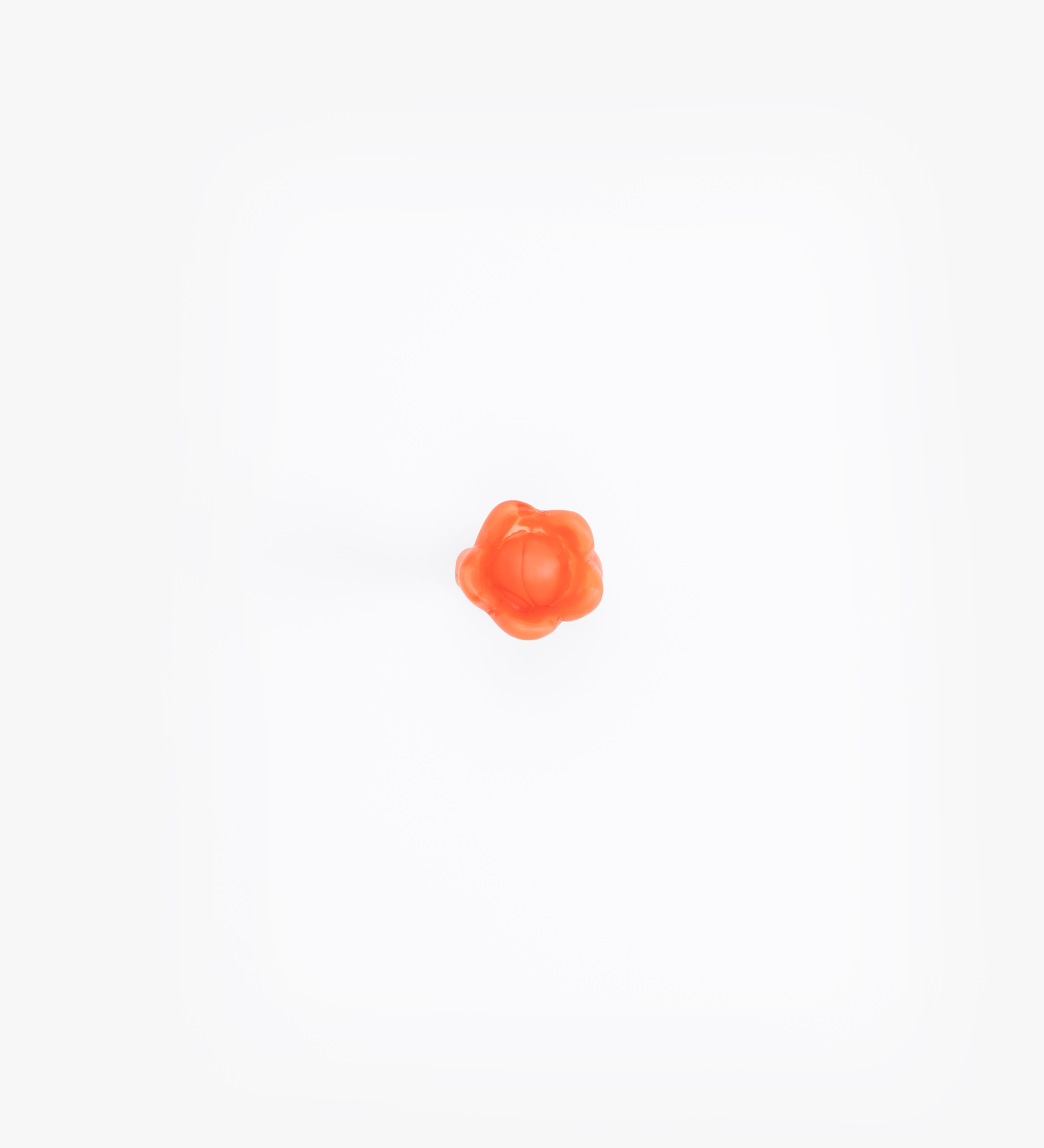 Dinosaur Designs Bud Ring Rings in Lychee color resin with Regular Fit